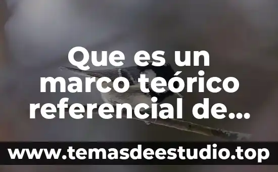 Que es un marco referencial en una tesis 5 Que es un marco teórico referencial de snacks saludables