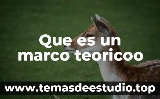 Que es un marco teoricoo