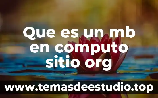 Investigar que es la metodología de planificación del sitio arquitectura 3 Que es un mb en computo sitio org
