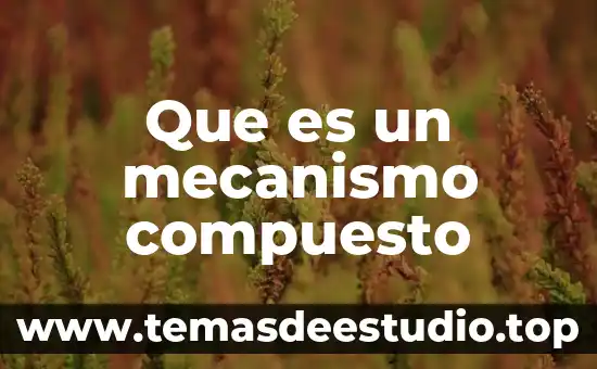 Por que es importante tener un cuerpo sano 3 Que es un mecanismo compuesto