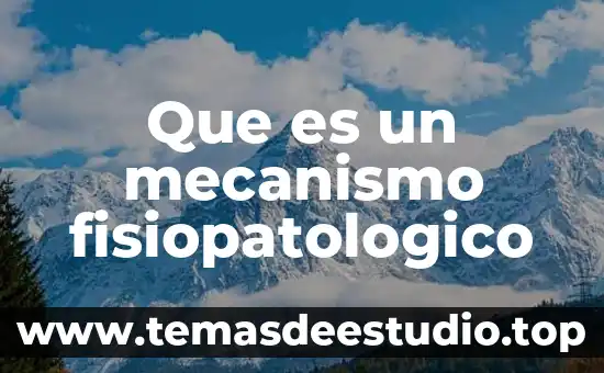 Que es un mecanismo de transformacion del movimiento 3 Que es un mecanismo fisiopatologico