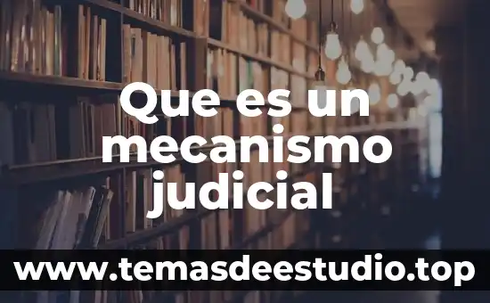 Que es el término judicial 8 Que es un mecanismo judicial
