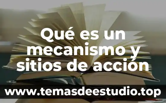 Que es un mecanismo de transformacion del movimiento 4 Qué es un mecanismo y sitios de acción