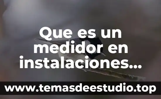 Que es el estudio de tarifas electricas 7 Que es un medidor en instalaciones electricas
