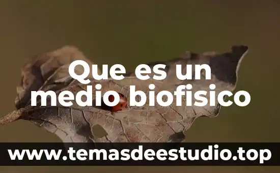 Que es un medio biofisico