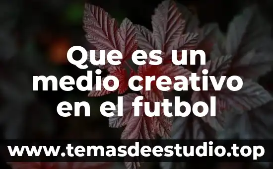 Fútbol historia qué es 5 Que es un medio creativo en el futbol