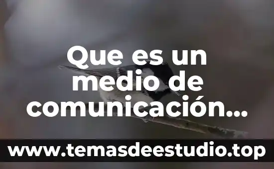 Que es icono en comunicacion y lenguaje 4 Que es un medio de comunicación comunitario