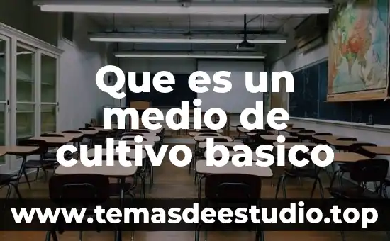 Que es la cultura y cultivo 5 Que es un medio de cultivo basico