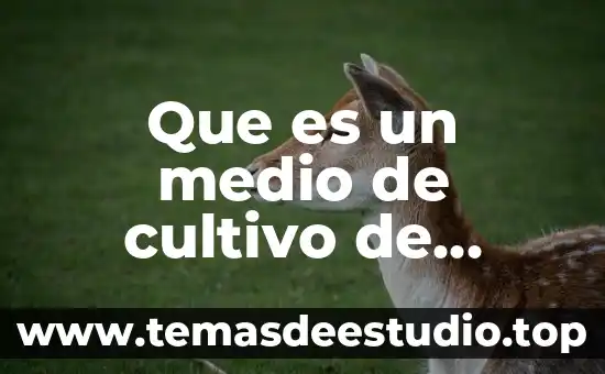 Que es un medio de cultivo de plantas
