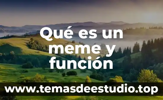 Que es un texto argumentativo y su funcion 3 Qué es un meme y función