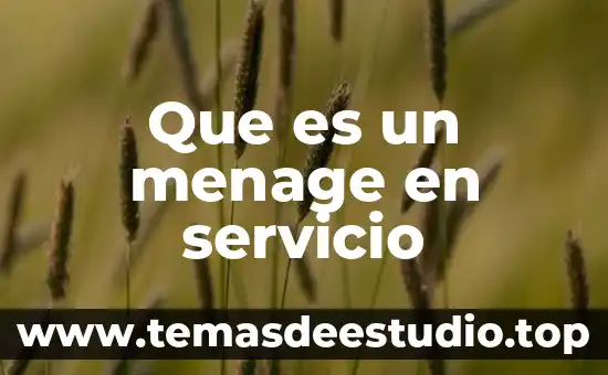 Que es el concepto en un servicio de luz 4 Que es un menage en servicio