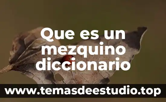 Que es significa inah en el diccionario 6 Que es un mezquino diccionario