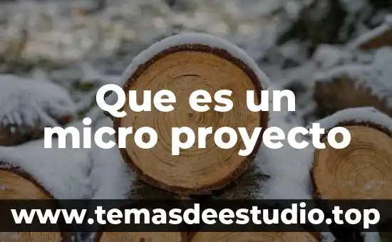 Que es micro o macro historia 8 Que es un micro proyecto