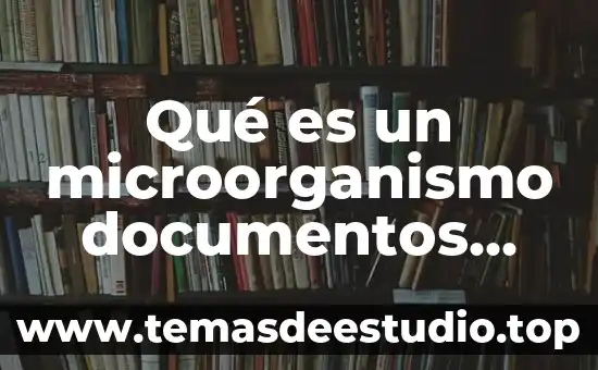 Que es el programa procuracion e imparticion de justicia 6 Qué es un microorganismo documentos citados
