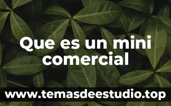 Calle comercial que es 6 Que es un mini comercial
