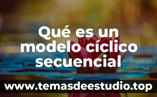 Que es una estructura de programacion secuencial 5 Qué es un modelo cíclico secuencial