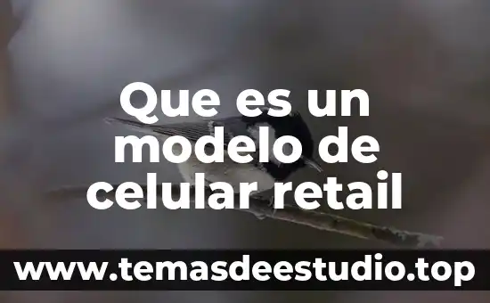 Que es un modelo de celular retail