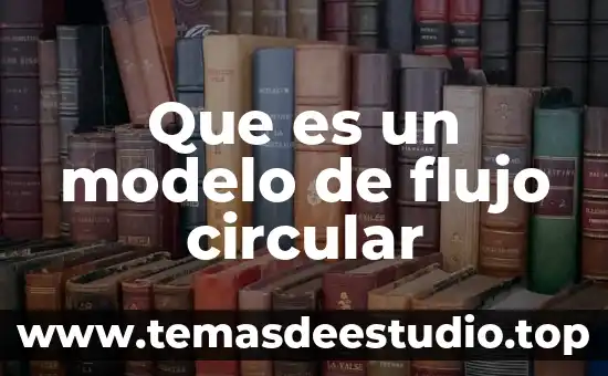 Que es un modelo de flujo circular