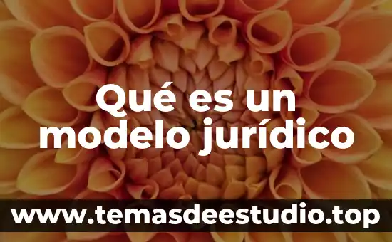 Que es pupilo concepto juridico 3 Qué es un modelo jurídico