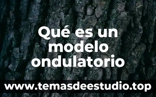 Qué es el movimiento ondulatorio concepto en física 7 Qué es un modelo ondulatorio