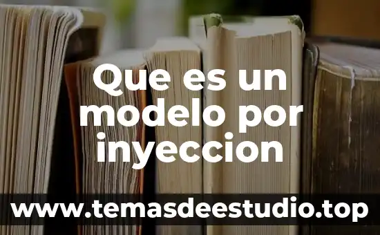 Que es un modelo por inyeccion