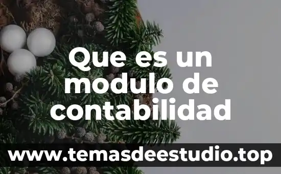 Que es un modulo de contabilidad