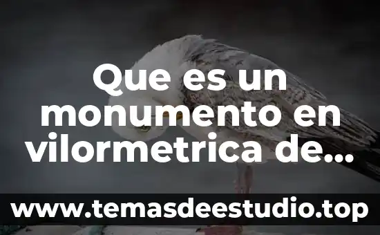 Que es mexico colorido 8 Que es un monumento en vilormetrica de mexico