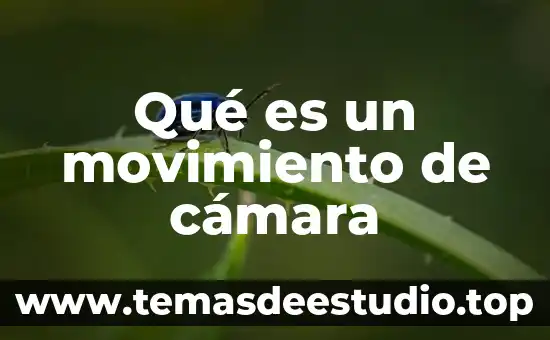 Que es una camara digital bridge 7 Qué es un movimiento de cámara