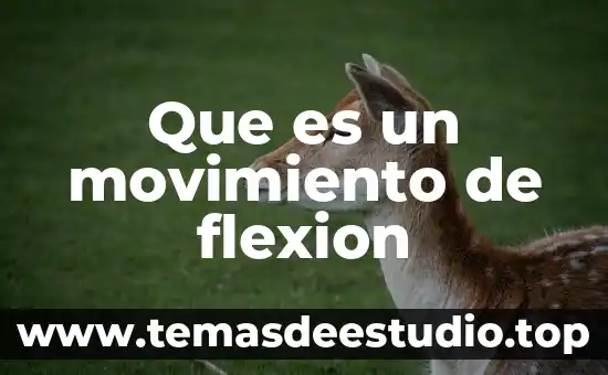 Qué es la sociedad del conocimiento y de la información 4 Que es un movimiento de flexion