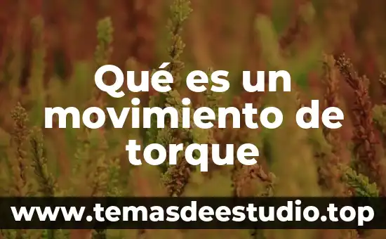 Qué es el patrón básico de movimiento 6 Qué es un movimiento de torque