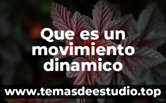 Que es un movimiento dinamico