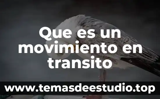Que es interaccion cultural 4 Que es un movimiento en transito
