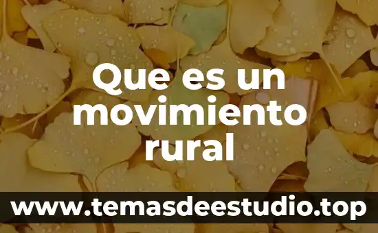 Desarrollo rural que es 3 Que es un movimiento rural