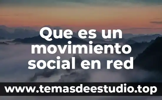 Que es un movimiento social en red