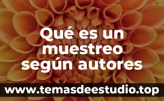 Que es la distribucion de muestreo de la media 5 Qué es un muestreo según autores