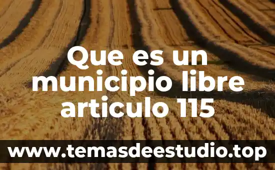 Qué es la libertad y el libre albedrio 3 Que es un municipio libre articulo 115