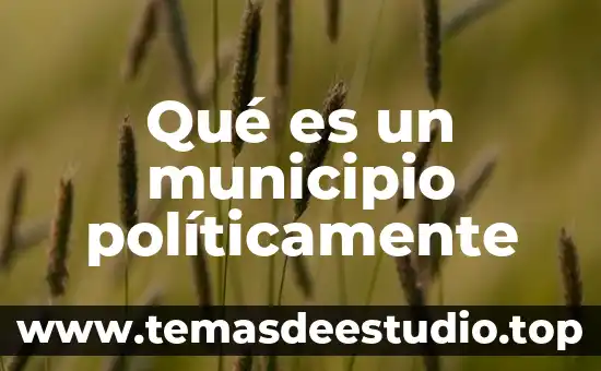 Para max weber que es el municipio formal 3 Qué es un municipio políticamente
