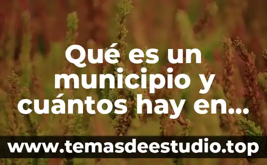 Que es la diabetes cuantos tipos hay medidas de prevención 7 Qué es un municipio y cuántos hay en México