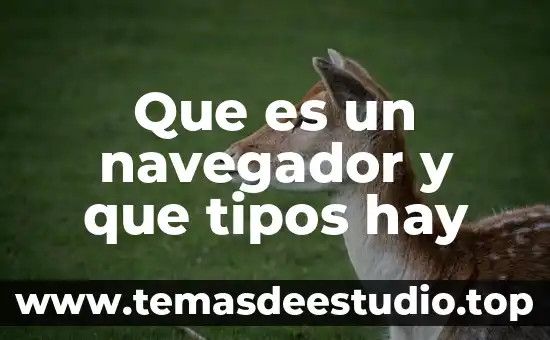 Qué es el estímulo fiscal de IVA 5 Que es un navegador y que tipos hay