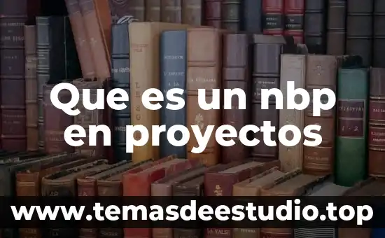 Que es mainframe proyectos 8 Que es un nbp en proyectos