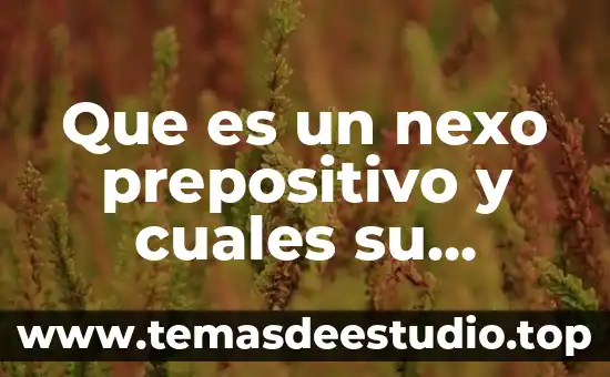 Que es un nexo prepositivo y cuales su clasificacion