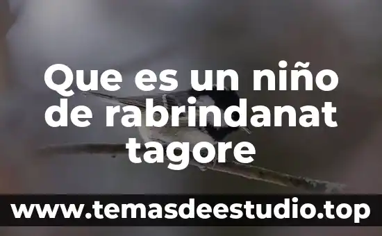 Que es la multiplicacion definicion para niño 3 Que es un niño de rabrindanat tagore