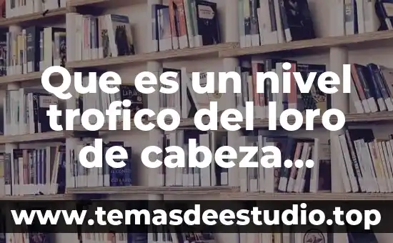 ¿Qué es libertad de expresión definición para nivel primaria? 8 Que es un nivel trofico del loro de cabeza amarilla