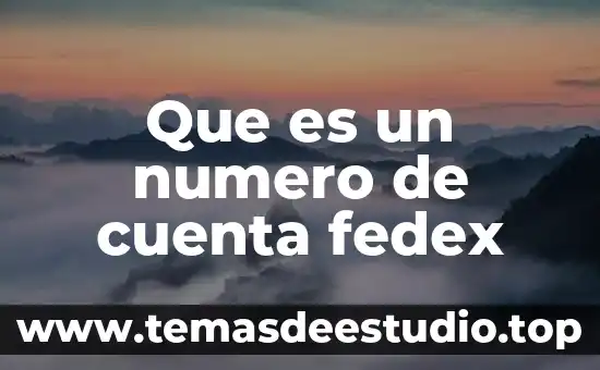 Qué es el número de embarazos 8 Que es un numero de cuenta fedex