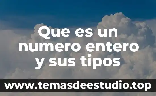 Que es ocio tipos 7 Que es un numero entero y sus tipos