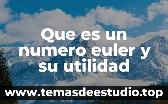 Que es la utilidad del cambio de estrategias en administracion 4 Que es un numero euler y su utilidad