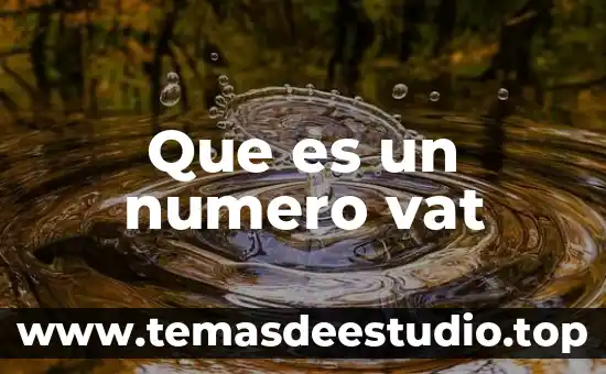 Que es el número de matricula unam 8 Que es un numero vat