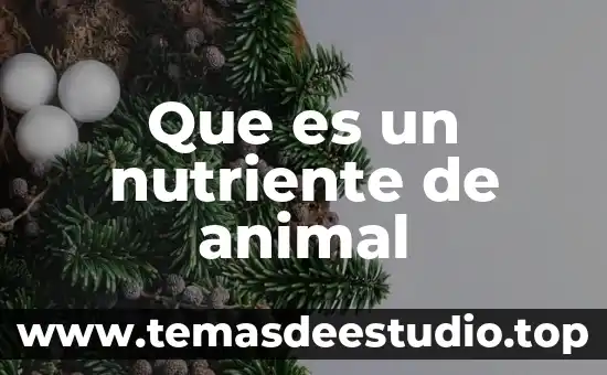 Soñar con animal muerto 3 Que es un nutriente de animal