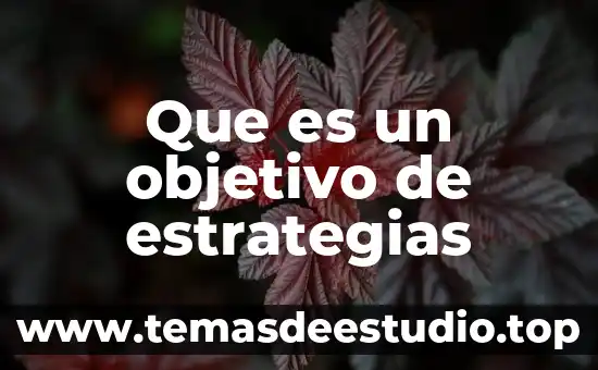 Definicion y concepto de que es un objetivo 3 Que es un objetivo de estrategias