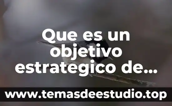 Que es el conocimiento estrategico 6 Que es un objetivo estrategico de una empresa